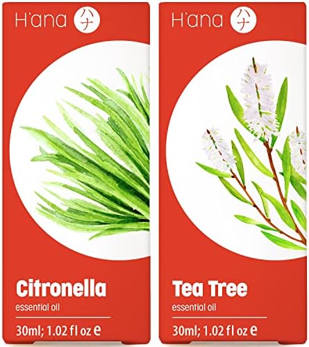 Óleo essencial de citronela para óleo de difusor e tea árvore para o conjunto de pele - de óleos essenciais