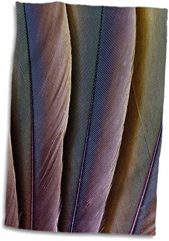 3drose Danita Delimont - Feathers - Buffons Macaw Feather Design - Toalhas