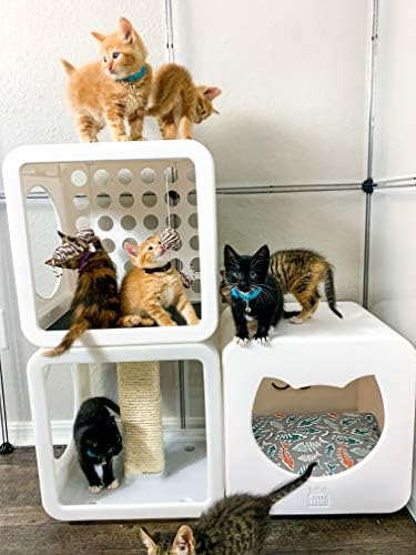 Kitty Kasas Novo! Casa de gatos modulares padrão, cubo de recreação com brinquedos pendurados, branco