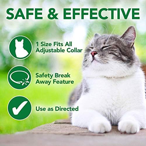 O melhor colar de pulgas e carrapatos do veterinário para gatos | Colarinho de gato repelente de pragas | Tratamento de pulgas e carrapatos