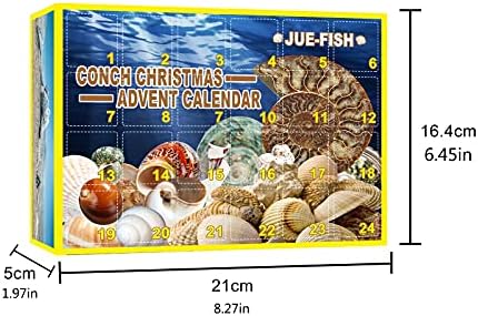 Christmas Conch Countdown Christmas Pingente Christmas Gift