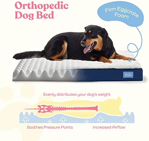 Cama de cachorro grande ortopédica - cama de cachorro ultra confortável para cães grandes pequenos, médios, grandes e extras