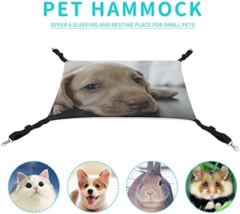 PET Hammock Puppy Dog Cat Sleeping com tiras ajustáveis ​​e ganchos de metal 16,9 x13