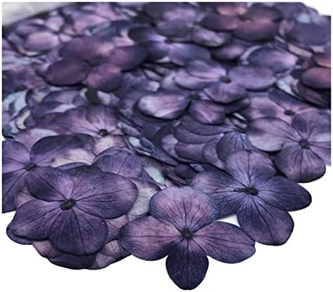 Zzzyw 12pcs 2-3cm Flores secas seco prensadas para jóias de colar de pingentes de resina Fazendo acessórios de diy artesanal