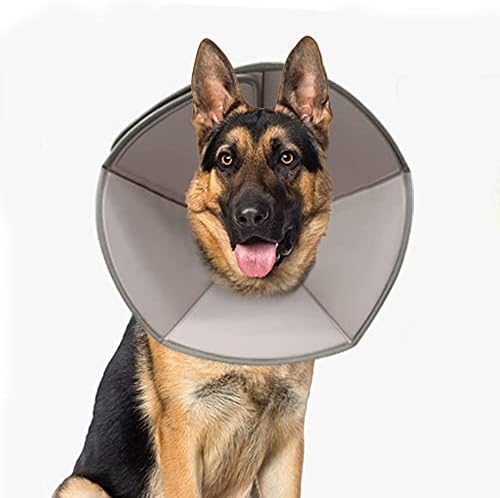 Colar de cone de cão Banooo Cone de recuperação de animais de estimação para cães e gatos, colar de proteção após cirurgia para