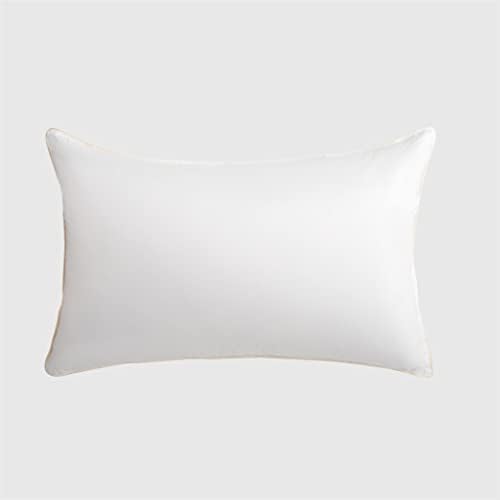 KXDFDC Pillow Algodon Cobert Big Big Fluffy Quarto para travesseiro para dormir de cinco estrelas48*74cm