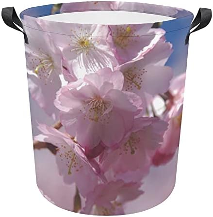 Foduoduo Cesta de lavanderia rosa Sakura Cherry Blossom Laundry Horting com alças Torno dobrável Saco de armazenamento
