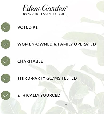 Edens Garden Best of the Melhor Oil Essential 6 Conjunto, melhor kit puro de aromaterapia para iniciantes, 10 ml