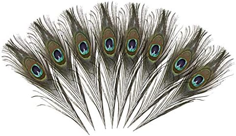 Cooh Eye Feathers Natural Diy Real Crafts2530cm/9.811.8inChes Tail Lots Decoração de casa Decoração Artificial ao