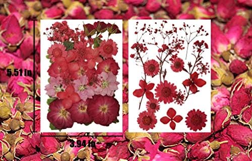 Meina 40 PCS Multi-coloridas naturais Flores prensadas seca para resina Artes de arte Acessórios DIY