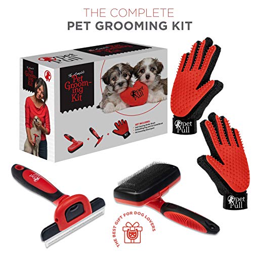 Kit completo de preparação para animais de estimação profissional | Auto -limpeza pincel de gato para cães e gatos | O pincel profissional