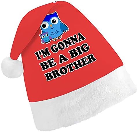 Eu vou ser um chapéu de Natal do Big Brother para Cosplay de Festas de Férias de Ano Novo
