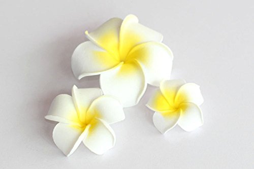 Dreamlily Women's Fashion 3 PCs Hawaiian Plumeria Balaclavas de Cabelo de Flower Flower Balaclavas for Beach