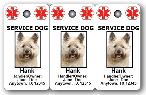 Cartões de identificação com serviço CoolHubcaps, ID de cão personalizado)