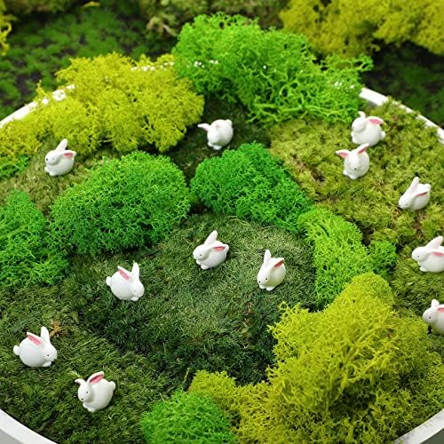 3 m². ft preservado musgo verde e 9 oz oz de rena artificial musgo musgo floral para vasos de plantas de mesa decoração