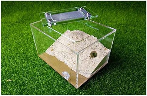 Batrc syxysm diy mini imitação de gesso ecológico ninho de animais de estimação workshop home réptil terrário caixa