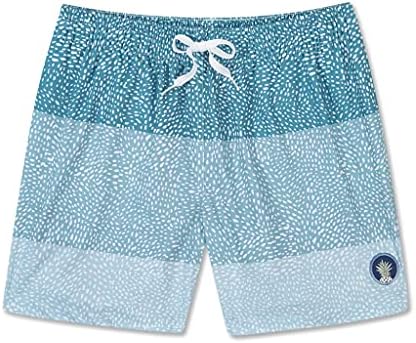Palões de natação masculinos de Chubbies, shorts de tábua estica
