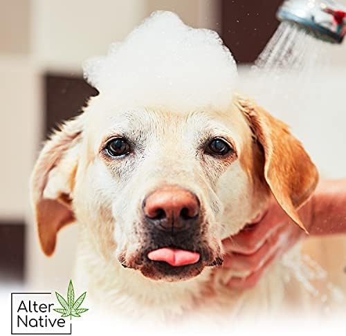 Shampoo para cães para alívio calmante - Feito de sementes de cânhamo orgânico Óleo - Shampoo maravilhoso para animais