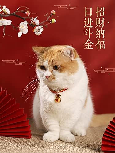 猫咪 项 圈颈圈 狗 狗 猫铃铛 编织 猫 猫 colar de gato gato gato gato gato trançado gato gato