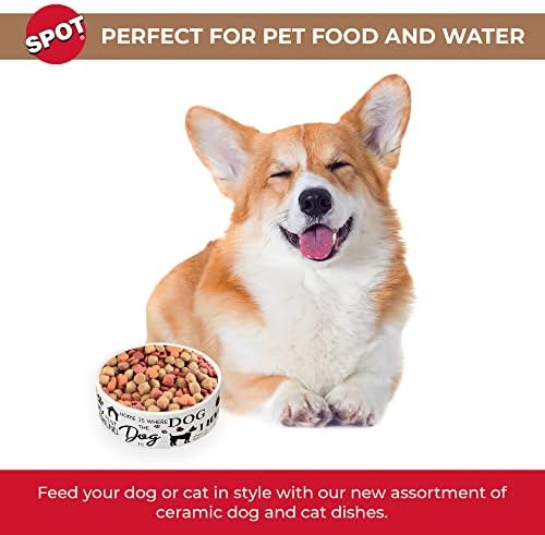 Spot por produtos éticos - Cerâmica pesada de alto brilho tigela de cachorro tigela gato alimentos duráveis ​​para cachorro e prato