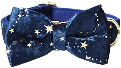 TJLSS Deep Blue Velvet Dog Collar and Leash Set for Christmas Gold Glitter Stars ID personalizado colar