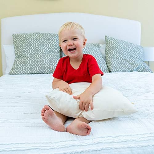 Sleep Artisan Toddler travesseiro para dormir - capa de algodão orgânico, lavável máquina, 13 x 18 travesseiro pequeno