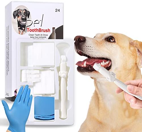 Removedor de dentes de dentes de cachorro Ninibabie, removedor de placa e tártaro, kit de escovação de dentes para cã
