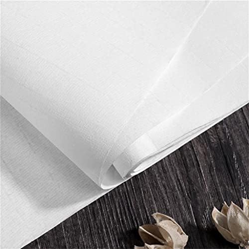 Tizhong 50 folhas papel de arroz Chinês Caligrafia Povento Papéis de redação de tinta Xuan papel para caligrafia chinesa
