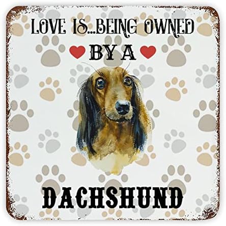 Funny Dog Metal Sign Love está pertencente a um cão Rústico para o cão de gorjeta do cão sinal de cã