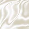 Silhouette America Pla Filamento 250 gramas - White de seda