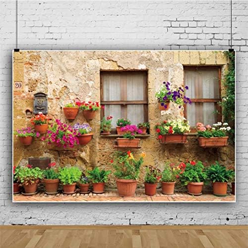 SHENU VINYL 5x3ft foto fundo italiano Pastoral Town Window Streets Plant Plant Plants Flores fotografia cenários