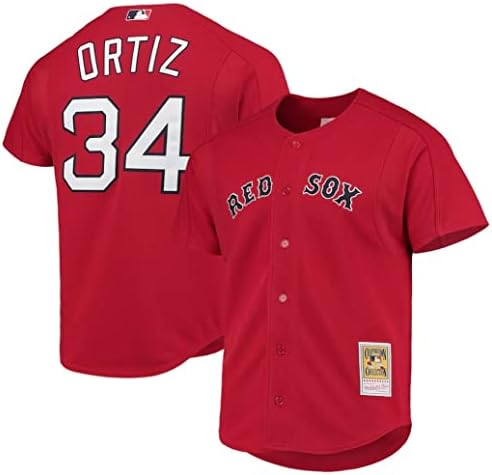 David Ortiz Boston Red Sox Mesh Batting Practing Jersey
