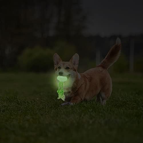 Diwandong Glowing Wellyfish - brinquedo de corda de cachorro brilhante - cor verde fluorescente, brilho em escuro - externo e interno, dia e noite - médio 5,9 para cachorro pequeno e médio de tamanho