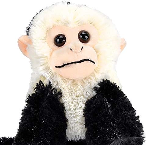 República selvagem Capuchina luxuosa, animal de pelúcia, brinquedo de pelúcia, presentes para crianças, cuddlekins 8 polegadas,