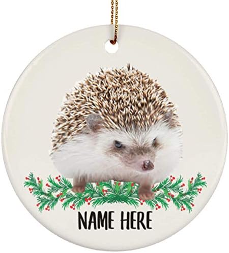 Funnamente fofo Cinza Africano Cinzento Hedgehog Nome Personalizado Presentes 2023 Cerâmica de Árvore de Natal Círculo