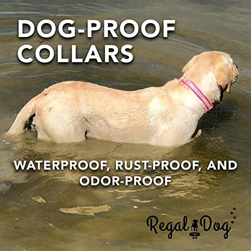 Produtos de cão real grande colarinho de cachorro reflexivo vermelho com anel central, fivela de metal e anel D | Anti-odor Ajuste