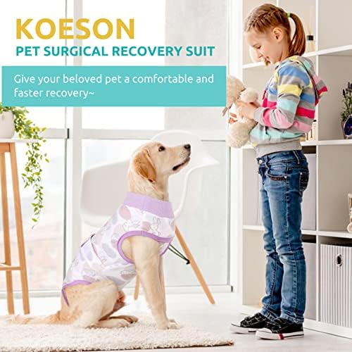 Terno de recuperação de cães de Koesson, traje de recuperação de cirurgia para cães femininos Sustentou a alternativa