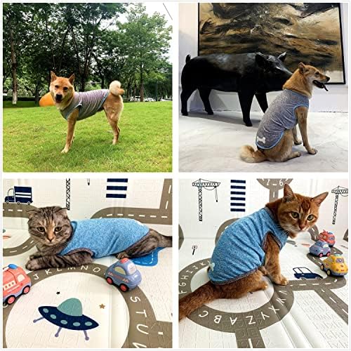 Camisa de cachorro e gato dajidali em tecido tecnológico com estampa luminosa, roupas de estimação para cães grandes, médios e pequenos, 2 pacote de camisetas funcionais leves