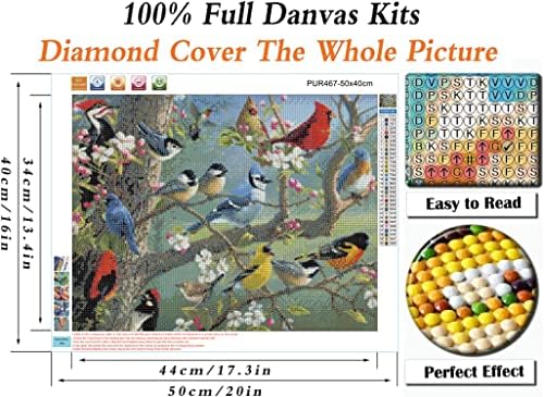 5D Diamond Painting Pirrol Full Birds 16x20 polegadas Diamante redonda Arte para adultos e crianças perfeita para relaxamento e decoração