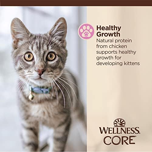 Wellness Core Tiny Tasters Comida de gatinho molhado, alimentos naturais completos e equilibrados, feitos com carne de verdade,