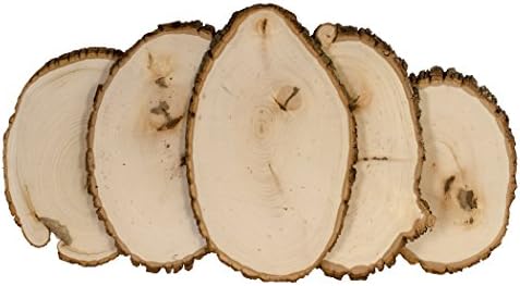 Walnut Hollow Basswood Rustic Round Medium com madeira de borda viva - para queima de madeira, decoração em casa e casamentos rústicos