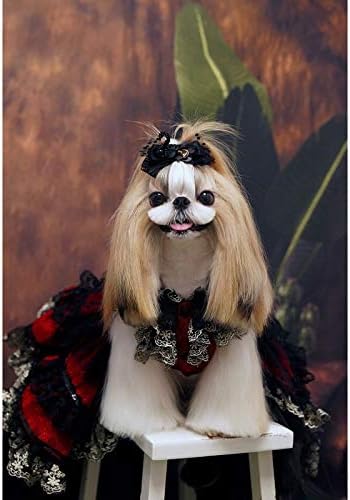 Vestido de cachorro de cachorro de cachorro de cachorro de cachorro de vestido de cachorro, vestido clássico clássico da capela