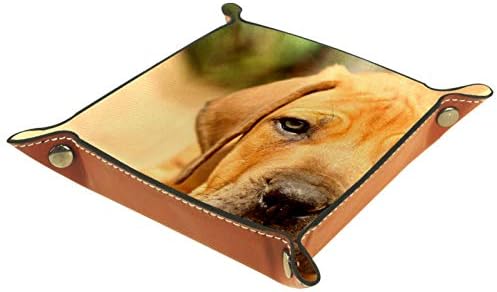 Lyetny Rhodesian Ridgeback Organizador de cães Bandejas de armazenamento Caixa de cabeceira Caddy bandeja de desktop alteração de carteira de caixa de moeda de caixa