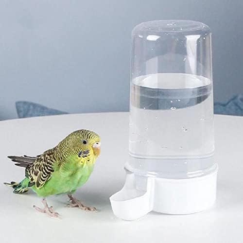 Dispensador de água de pássaro de 200ml de CHDHALTD, dispensador de pássaros para animais de estimação Bottle Boting Cup Bowls para