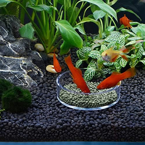 Dannisly Aquarium Camarão Plato de alimentação redonda tanques de prato de alimentação de peixes transparentes