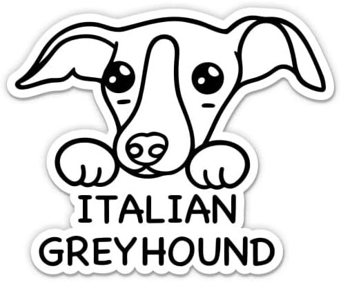 Adesivo italiano Greyhound - adesivo de laptop de 3 - vinil impermeável para carro, telefone, garrafa de água - italiano Greyhound fofo cachorro espreitando decalque