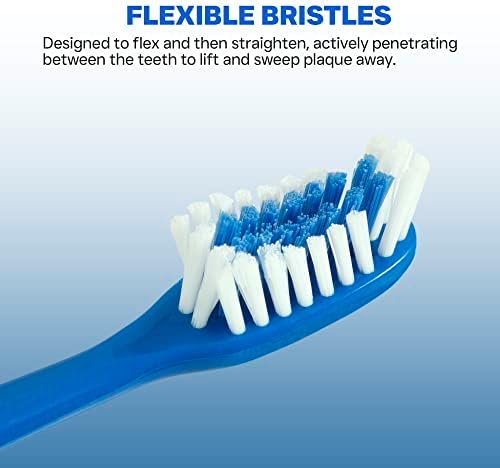 Escudo de dentes de dentes de limpeza de cuidados de escudo com cabeça pequena para melhor alcance individualmente embrulhado - 4 cores - 8 contagem