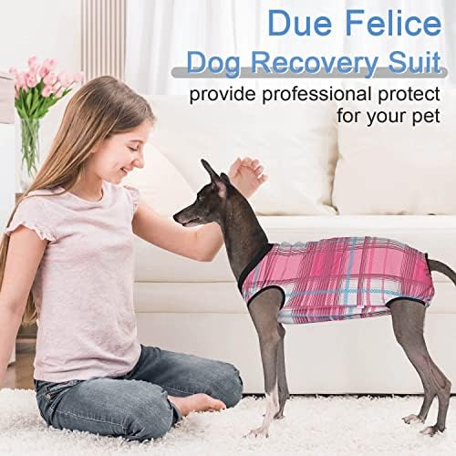 Devido a Felice Dog Surgery Recovery Suit Onesie Pet Após a cirurgia Use Alternativa de colarinho eletrônico para animais de estimação para feminino manta rosa de cachorro feminino/pequeno