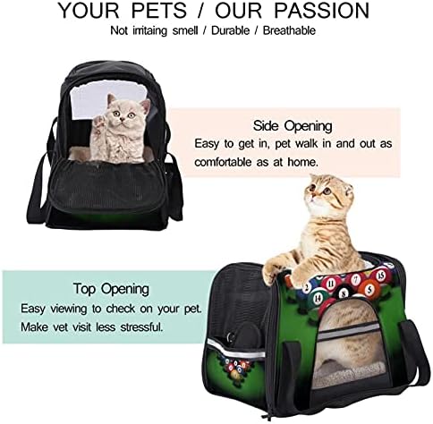 Portador de animais de estimação Ilustração 3D Bilhar portadoras de viagem de animais de estimação para gatos, cães de cachorro confortável portátil