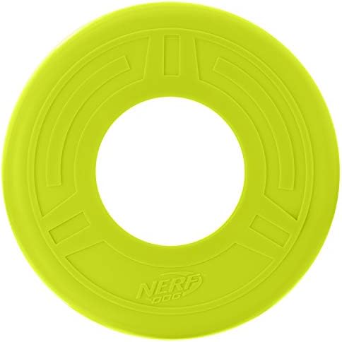 Dog Nerf 13in 2 -ring Tug - azul/verde